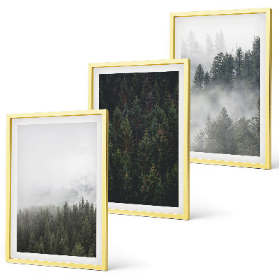 Wall art set Green forests fog nature