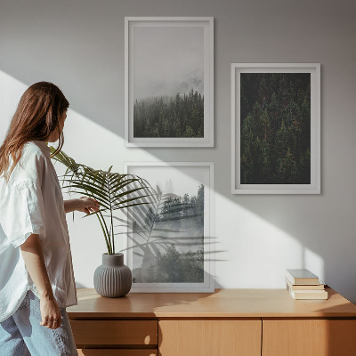 Wall art set Green forests fog nature