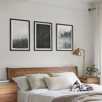Wall art set Green forests fog nature