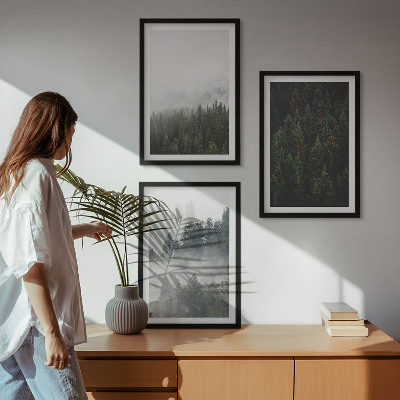 Wall art set Green forests fog nature