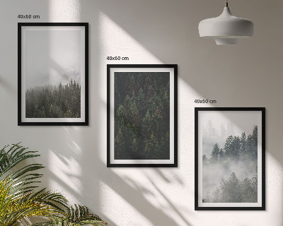 Wall art set Green forests fog nature