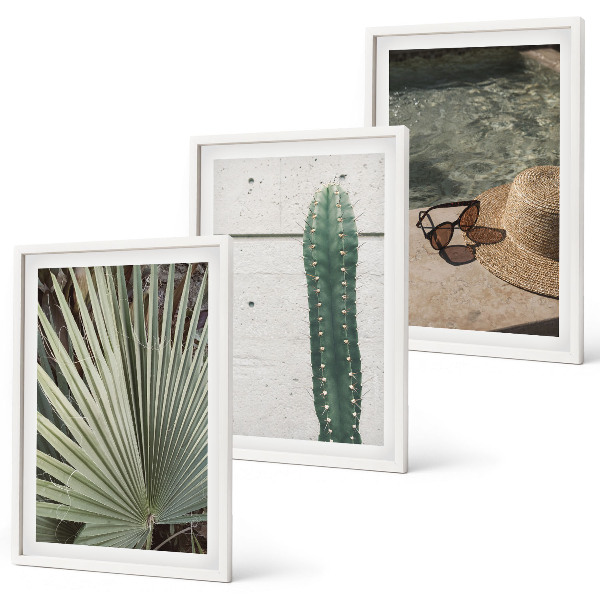 Wall art set Tropical plants accessories