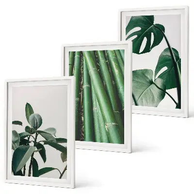 Bamboo Stems and Monstera Leaves Wall Art Set set of 3 framed pieces
