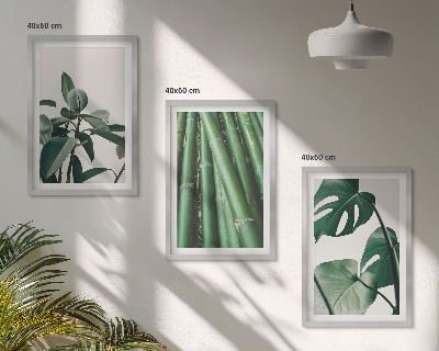 Set of 3 framed wall art pieces Bamboo stems and monstera leaves