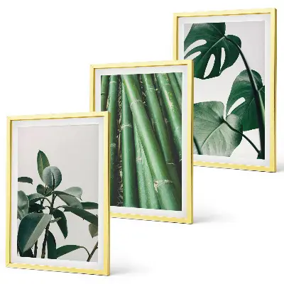 Bamboo Stems and Monstera Leaves Wall Art Set set of 3 framed pieces