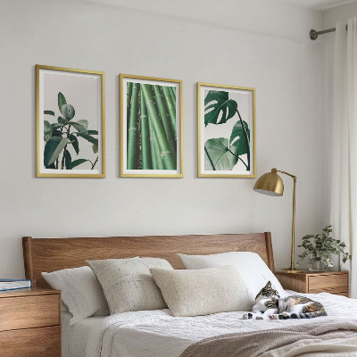 Set of 3 framed wall art pieces Bamboo stems and monstera leaves