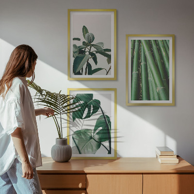 Set of 3 framed wall art pieces Bamboo stems and monstera leaves