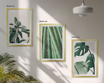 Set of 3 framed wall art pieces Bamboo stems and monstera leaves