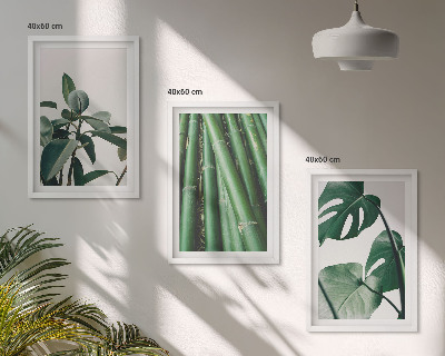 Set of 3 framed wall art pieces Bamboo stems and monstera leaves
