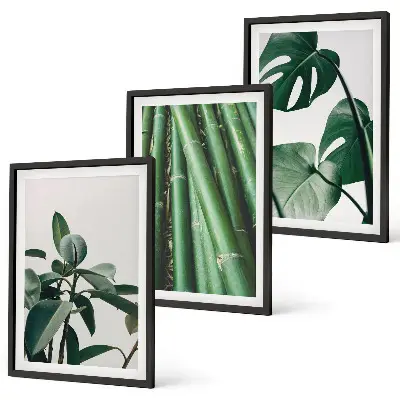 Bamboo Stems and Monstera Leaves Wall Art Set set of 3 framed pieces