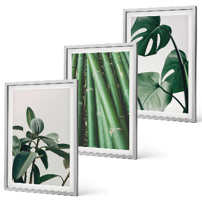Set of 3 framed wall art pieces Bamboo stems and monstera leaves