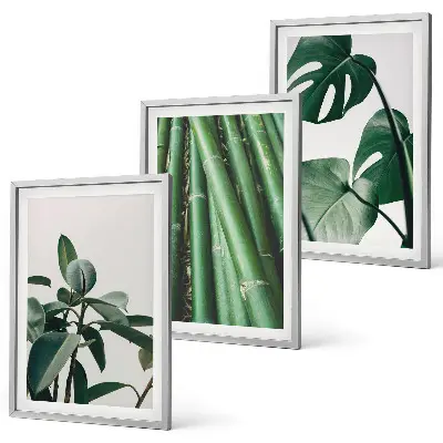 Bamboo Stems and Monstera Leaves Wall Art Set set of 3 framed pieces