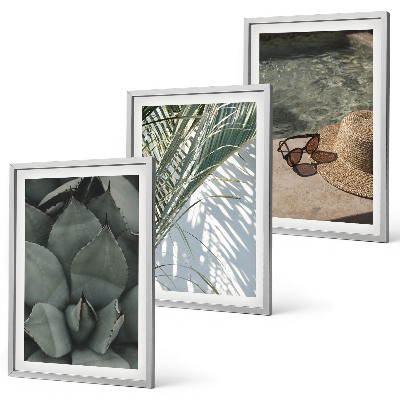 Wall art set Tropical plants for vacation