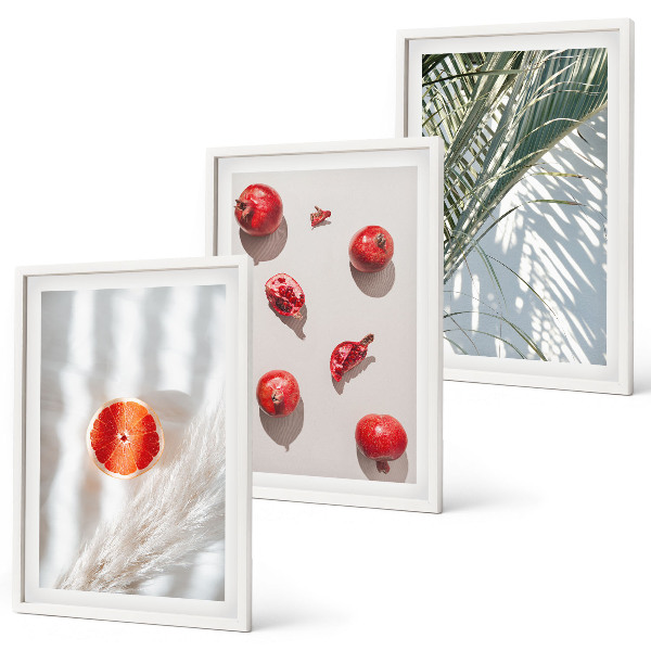Set of 3 framed wall art pieces Holiday palm fruit