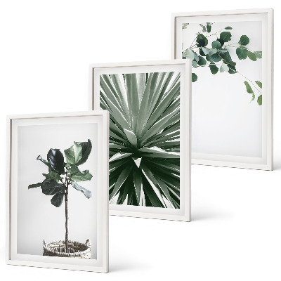 Set of 3 framed wall art pieces Green plants minimalism