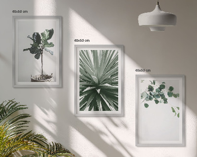 Set of 3 framed wall art pieces Green plants minimalism