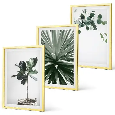 Set of 3 framed wall art pieces green plants minimalism style