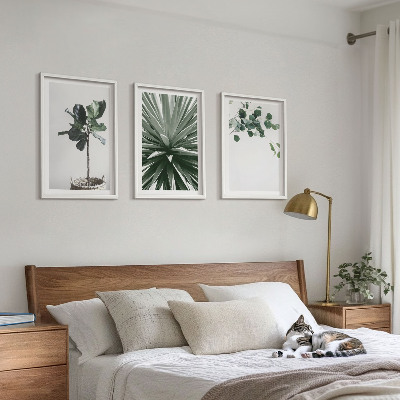 Set of 3 framed wall art pieces Green plants minimalism