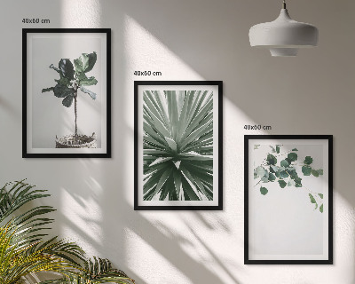 Set of 3 framed wall art pieces Green plants minimalism