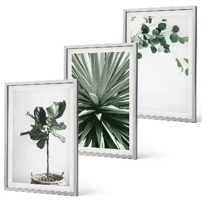 Set of 3 framed wall art pieces green plants minimalism style