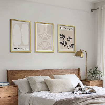 Set of 3 framed wall art pieces Boho delicate plant posters