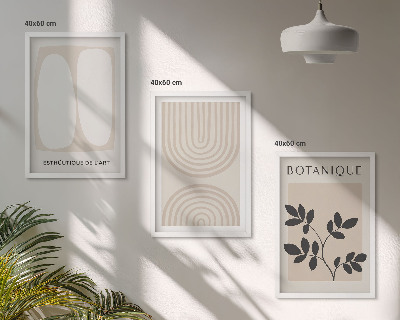 Set of 3 framed wall art pieces Boho delicate plant posters