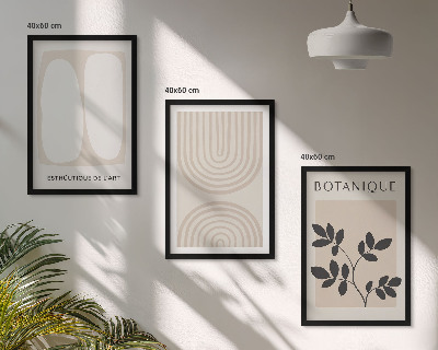 Set of 3 framed wall art pieces Boho delicate plant posters