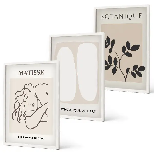Three-piece wall art piece Matisse's Stylish Plant Paintings