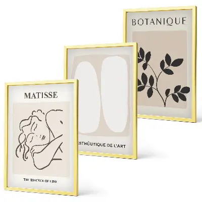 Matisse style plant wall art three piece set