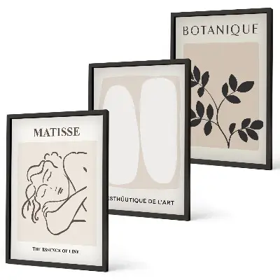 Three-piece wall art piece Matisse's Stylish Plant Paintings