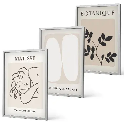 Three-piece wall art piece Matisse's Stylish Plant Paintings