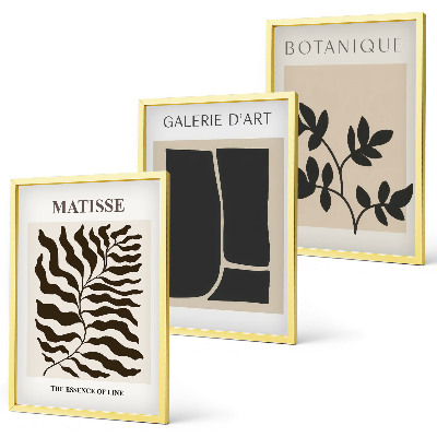 Set of 3 framed wall art pieces Minimalist plant posters