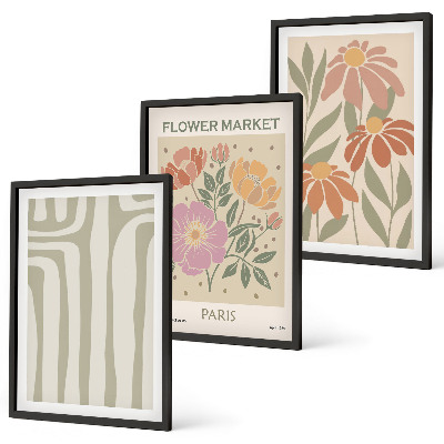 Set of 3 framed wall art pieces Botanical motifs Paris minimalism
