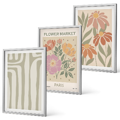 Set of 3 framed wall art pieces Botanical motifs Paris minimalism