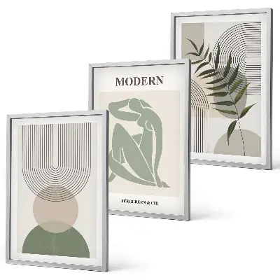Set of 3 framed wall art pieces with stylish plant graphics