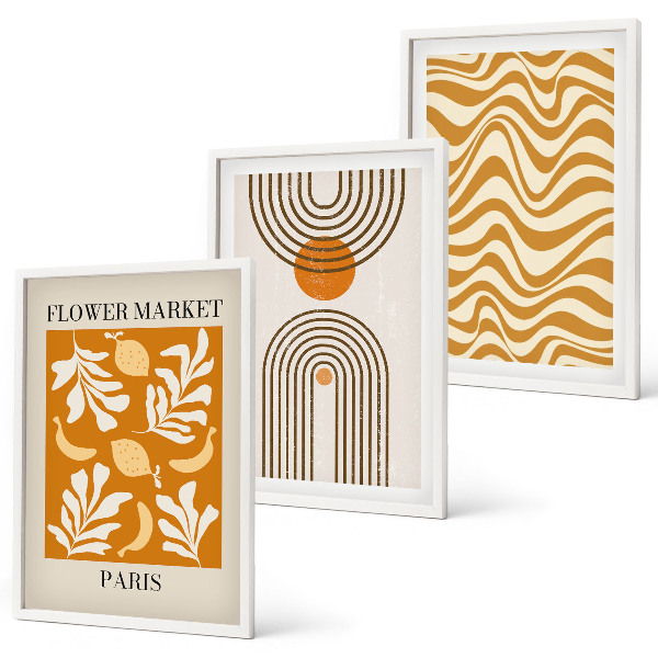 Set of 3 framed wall art pieces Geometric plant patterns posters