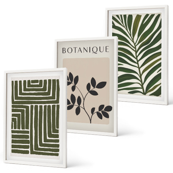 Set of 3 framed wall art pieces Botanical boho minimalism