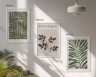 Set of 3 framed wall art pieces Botanical boho minimalism