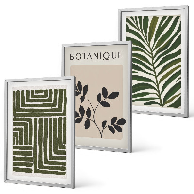 Set of 3 framed wall art pieces Botanical boho minimalism