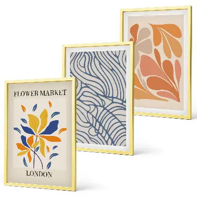 Modern abstract flowers three-piece wall art set