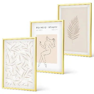 Three-piece botanical wall art set minimalist motif design