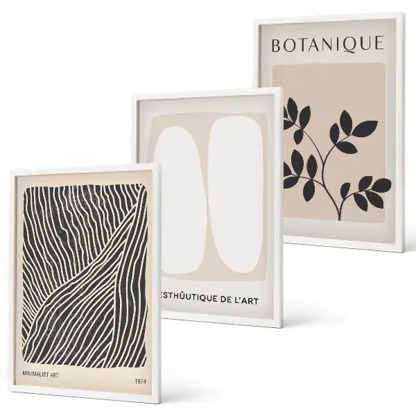 Set of 3 framed wall art pieces with plant patterns and line art designs