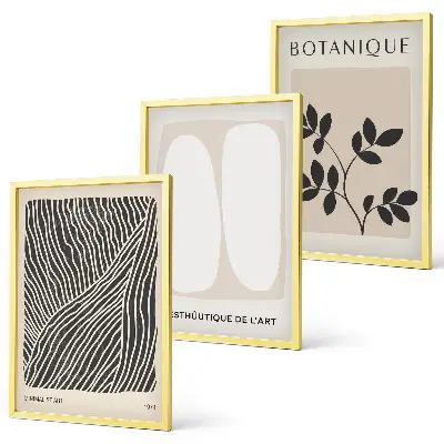 Set of 3 framed wall art pieces with plant patterns and line art designs