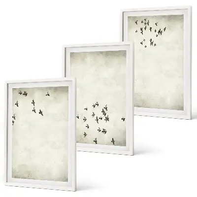 Set of 3 minimalist bird wall art paintings framed prints