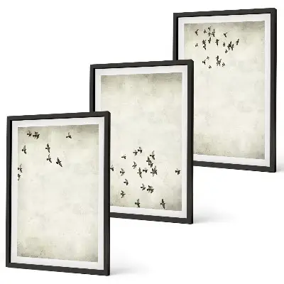 Set of 3 minimalist bird wall art paintings framed prints