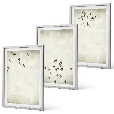 Set of 3 framed wall art pieces Minimalist bird painting