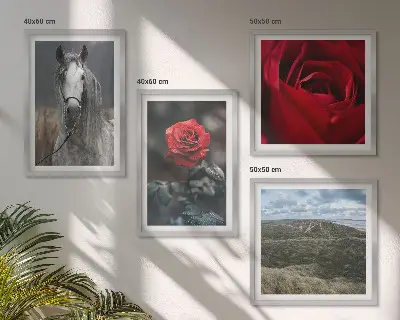 Set of 4 wall art pieces featuring red roses and a horse on a gray background