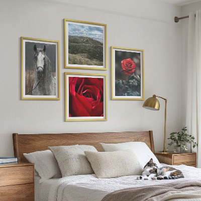 Set of 4 wall art pieces Red roses horse gray background
