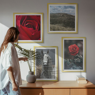 Set of 4 wall art pieces Red roses horse gray background