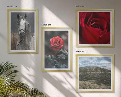 Set of 4 wall art pieces Red roses horse gray background
